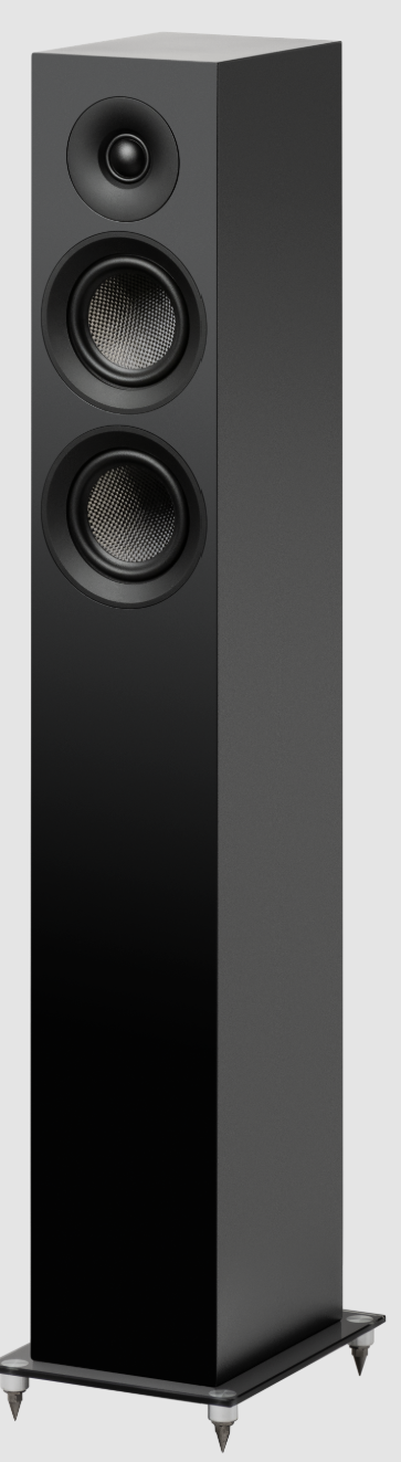 Speaker Box 10E Carbon