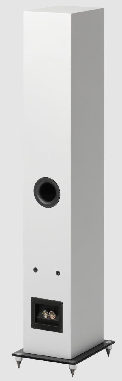 Speaker Box 10E Carbon