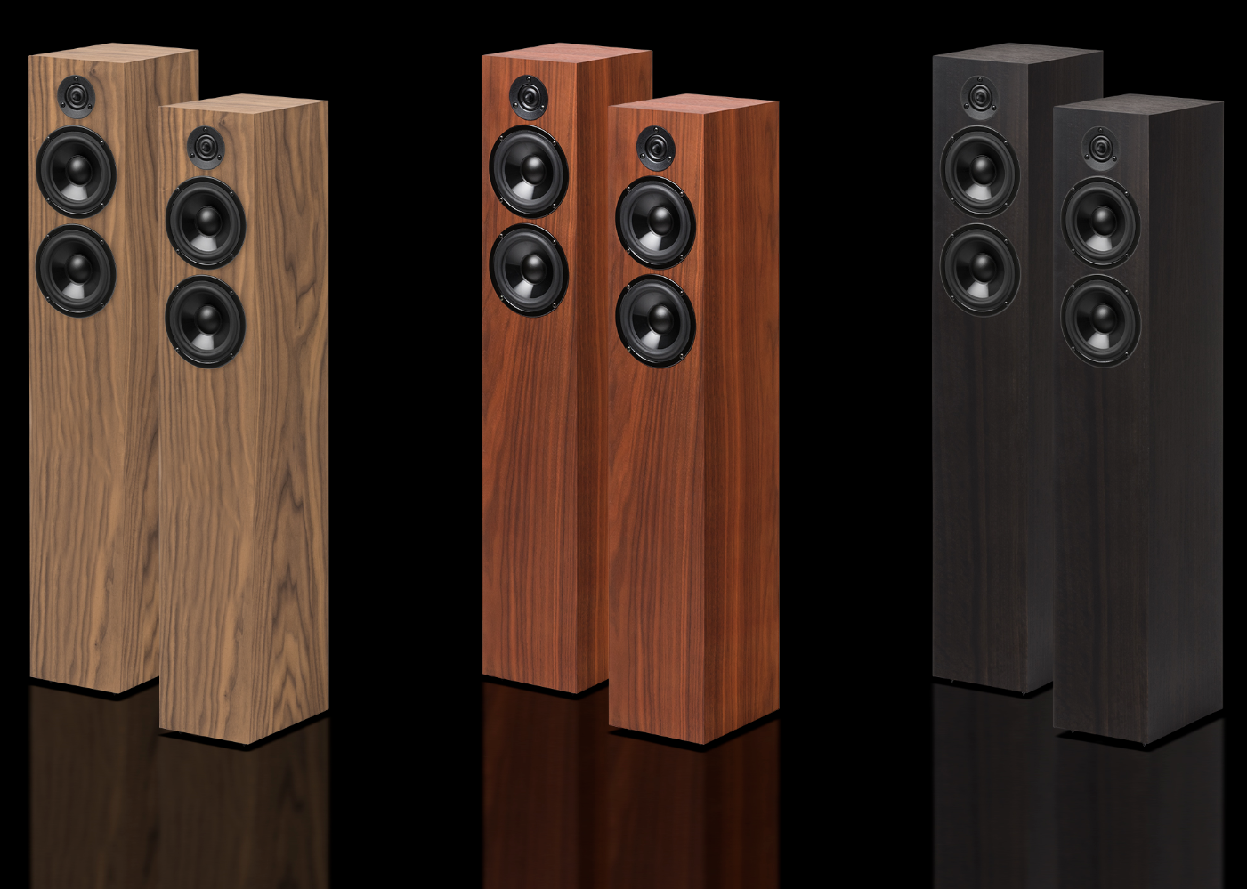 Speaker Box 10 DS2